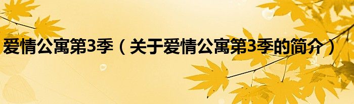 爱情公寓第3季（关于爱情公寓第3季的简介）