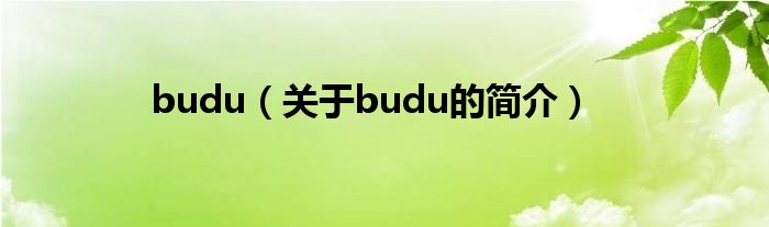budu（关于budu的简介）