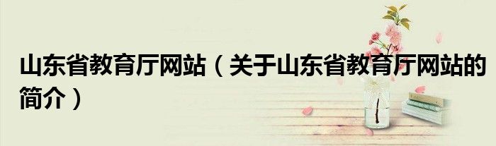 山东省教育厅网站（关于山东省教育厅网站的简介）