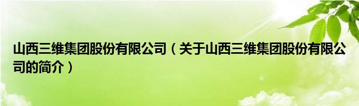 山西三维集团股份有限公司（关于山西三维集团股份有限公司的简介）