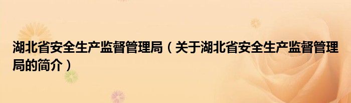 湖北省安全生产监督管理局（关于湖北省安全生产监督管理局的简介）