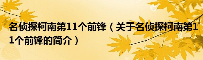 名侦探柯南第11个前锋（关于名侦探柯南第11个前锋的简介）