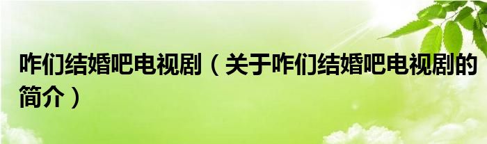 咋们结婚吧电视剧（关于咋们结婚吧电视剧的简介）