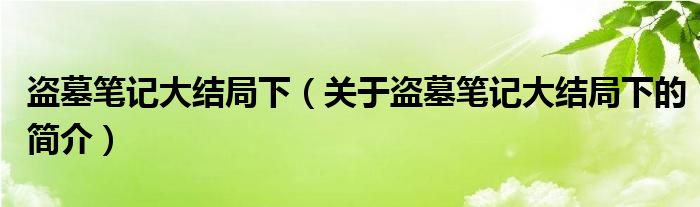 盗墓笔记大结局下（关于盗墓笔记大结局下的简介）