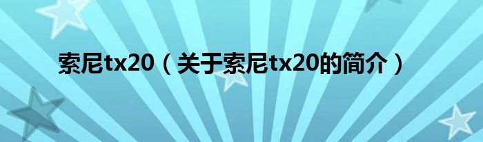 索尼tx20（关于索尼tx20的简介）