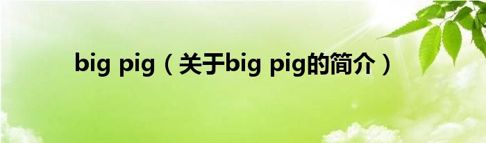 big pig（关于big pig的简介）