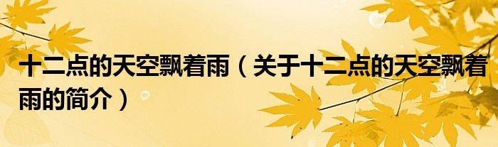 十二点的天空飘着雨（关于十二点的天空飘着雨的简介）