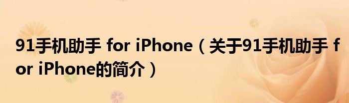 91手机助手 for iPhone（关于91手机助手 for iPhone的简介）