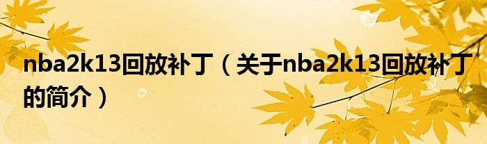 nba2k13回放补丁（关于nba2k13回放补丁的简介）