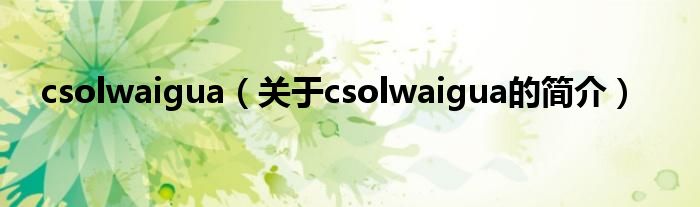 csolwaigua（关于csolwaigua的简介）