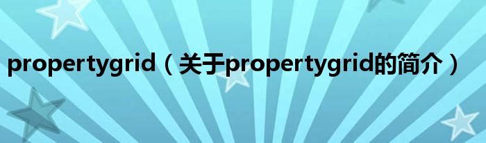 propertygrid（关于propertygrid的简介）