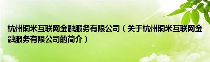 杭州铜米互联网金融服务有限公司（关于杭州铜米互联网金融服务有限公司的简介）