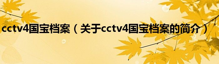 cctv4国宝档案（关于cctv4国宝档案的简介）