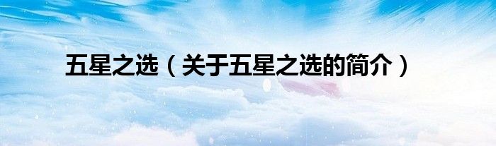 五星之选（关于五星之选的简介）