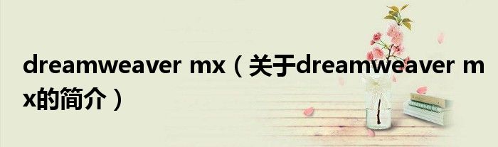 dreamweaver mx（关于dreamweaver mx的简介）