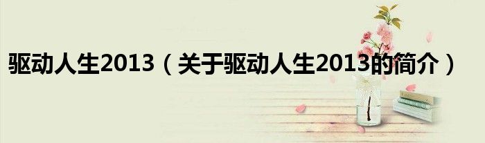 驱动人生2013（关于驱动人生2013的简介）