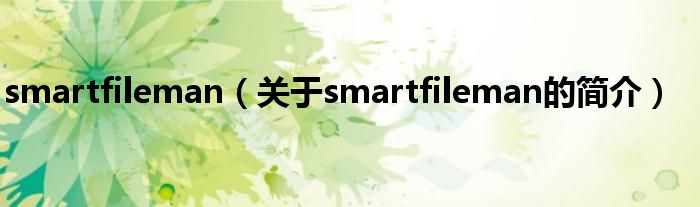smartfileman（关于smartfileman的简介）