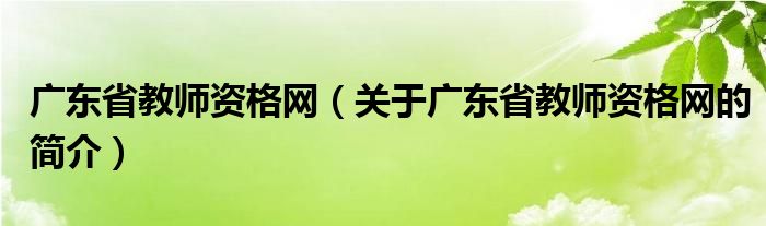 广东省教师资格网（关于广东省教师资格网的简介）