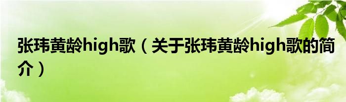 张玮黄龄high歌（关于张玮黄龄high歌的简介）