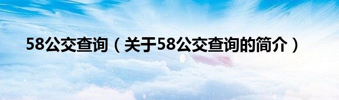 58公交查询（关于58公交查询的简介）