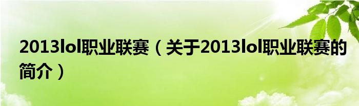 2013lol职业联赛（关于2013lol职业联赛的简介）