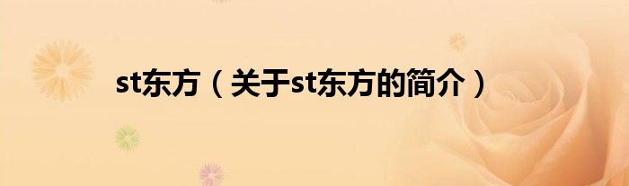 st东方（关于st东方的简介）