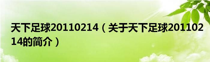 天下足球20110214（关于天下足球20110214的简介）