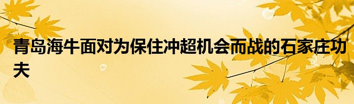 青岛海牛面对为保住冲超机会而战的石家庄功夫