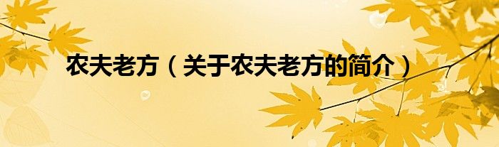 农夫老方（关于农夫老方的简介）