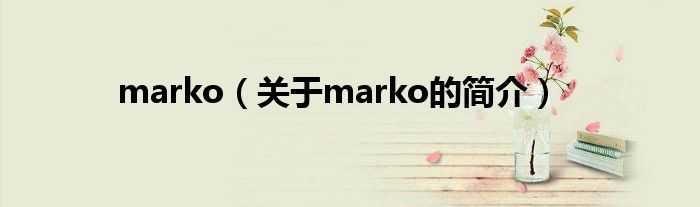 marko（关于marko的简介）