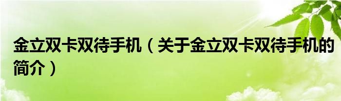 金立双卡双待手机（关于金立双卡双待手机的简介）