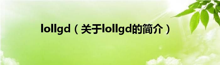 lollgd（关于lollgd的简介）