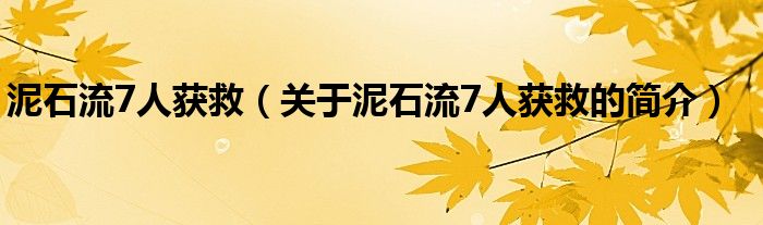 泥石流7人获救（关于泥石流7人获救的简介）