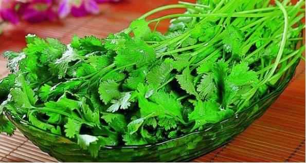 讨厌香菜的人是受到遗传影响