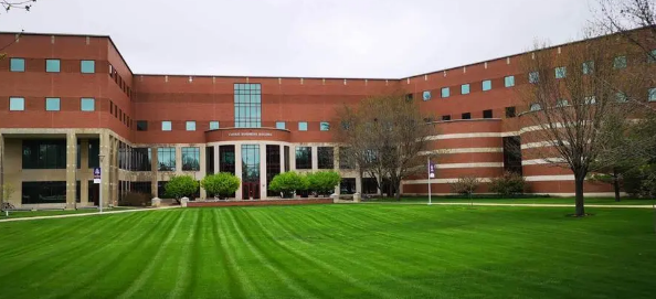 爱荷华大学的研究人员证实了大脑中的压力联系