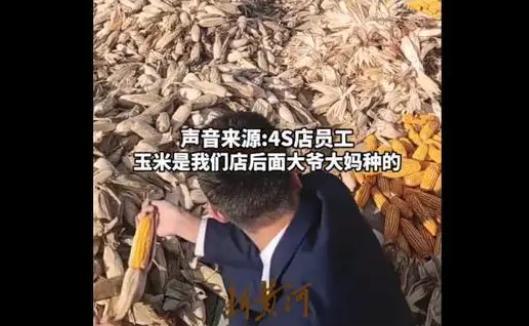 4S店员工集体帮邻居老人剥玉米