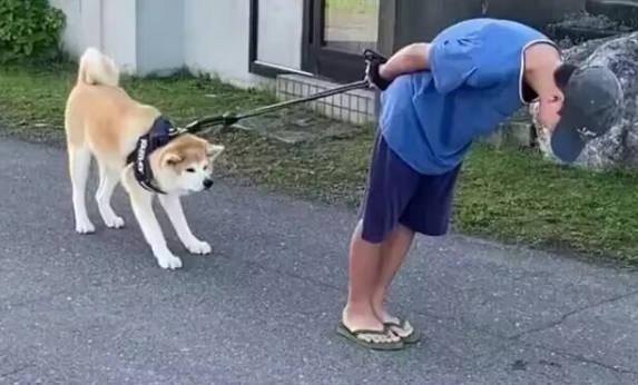 一人一狗对峙了三个小时