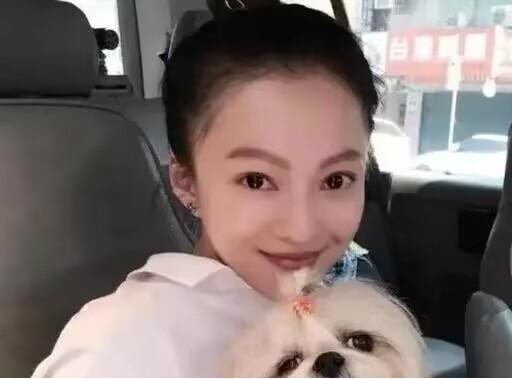 张韶涵发文悼念自己的狗狗