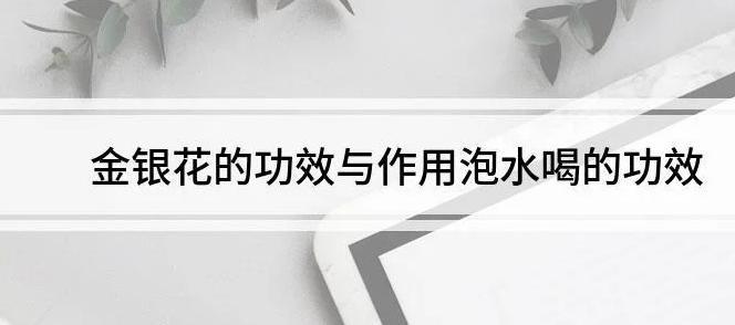 金银花的功效与作用，泡水喝的功效