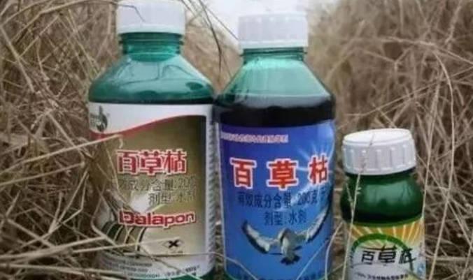 喝了百草枯，真的没救了吗？