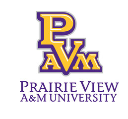 凯文鲍威尔被任命为PRAIRIE VIEW A&M大学的驻校作家