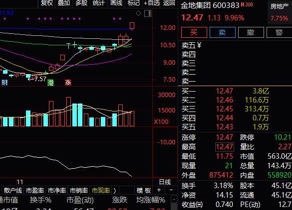 券拉，地产，金融