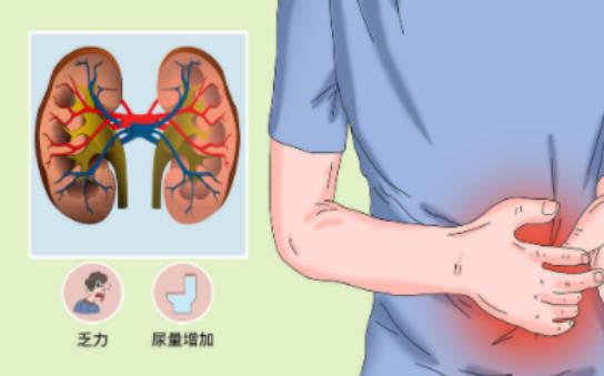 肾衰竭是什么原因引起的？