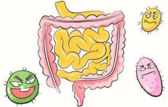 肠道不健康的六大表现