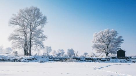 下雪时为什么不打雷