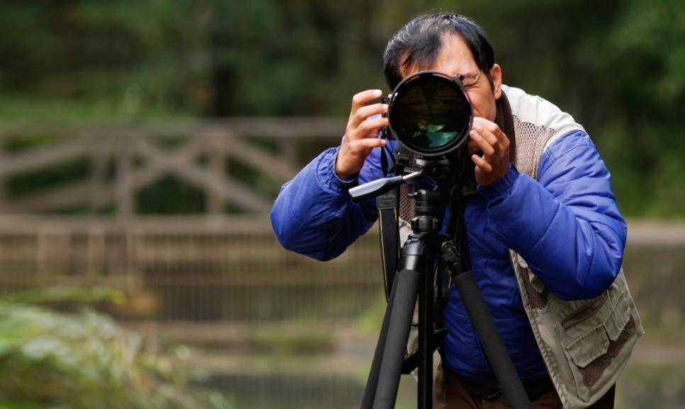 律师称拍女孩背猪草者侵犯肖像权