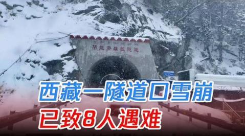 西藏雪崩多车被埋 有人失温缺氧遇难（搜救中）