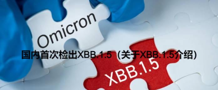 国内首次检出XBB.1.5（关于XBB.1.5介绍）