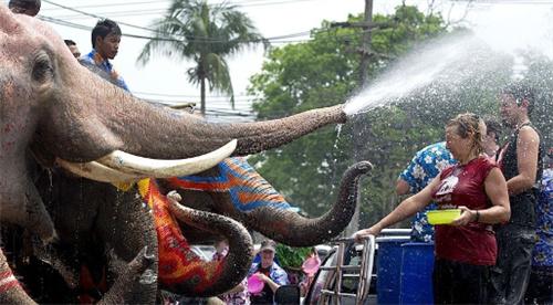 大象也过泼水节，大象与游客打水仗