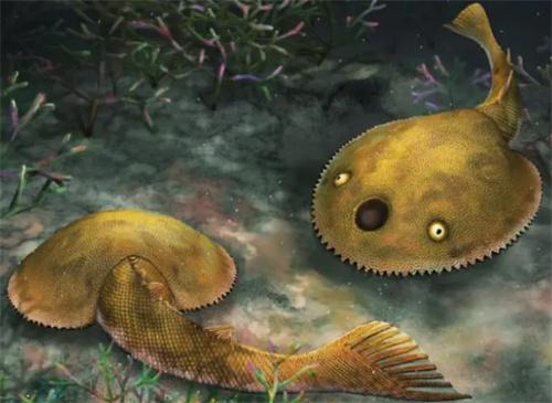 广西发现九尾狐甲鱼化石 距今约4.1亿年